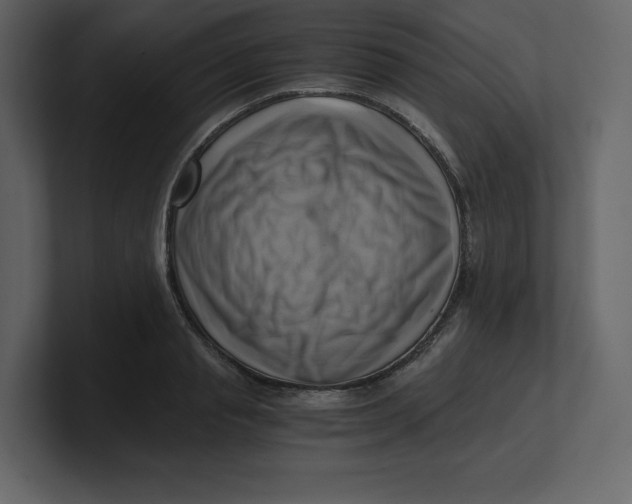 X0000100930845200807151242