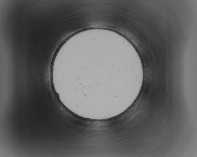 X0000100930848200807151242