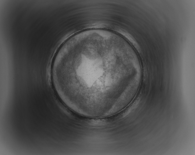 X0000100930850200807151242