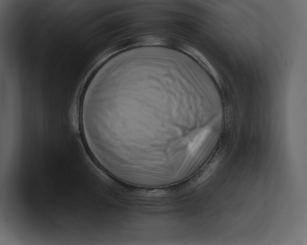 X0000100930851200807151242