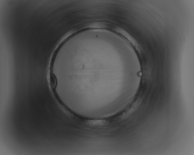 X0000100930853200807151242