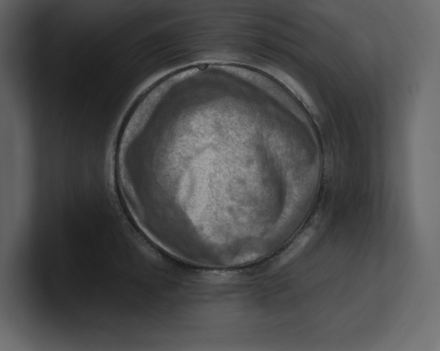 X0000100930854200807151242