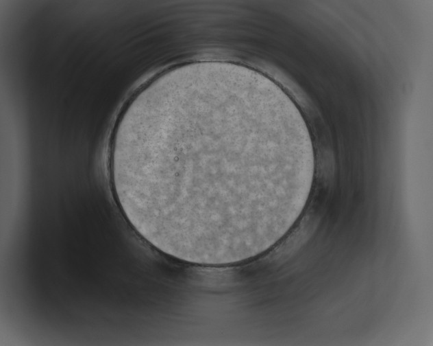 X0000100930856200807151242