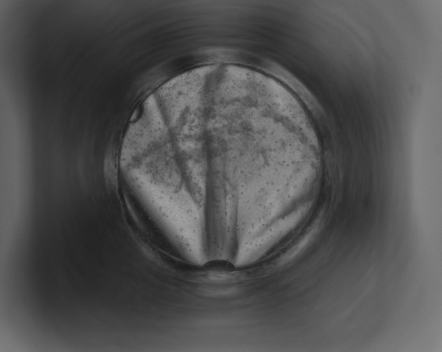 X0000100930857200807151242