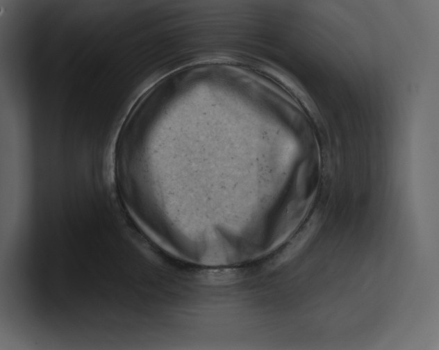 X0000100930858200807151242