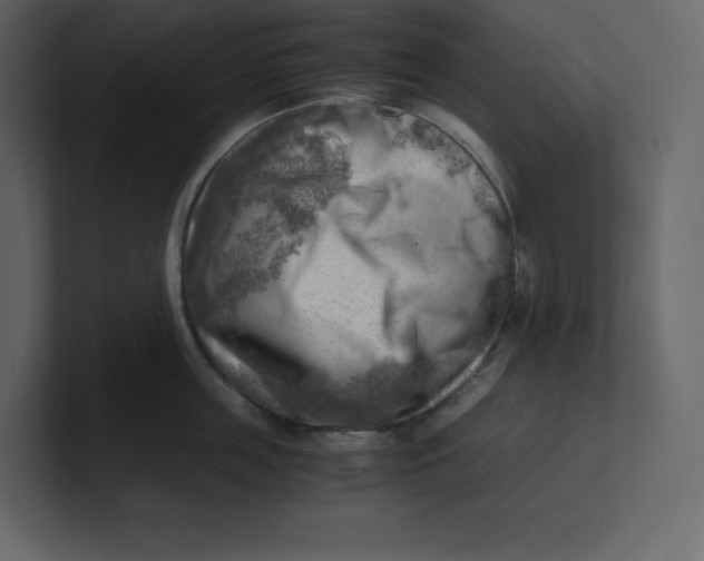 X0000100930859200807151242