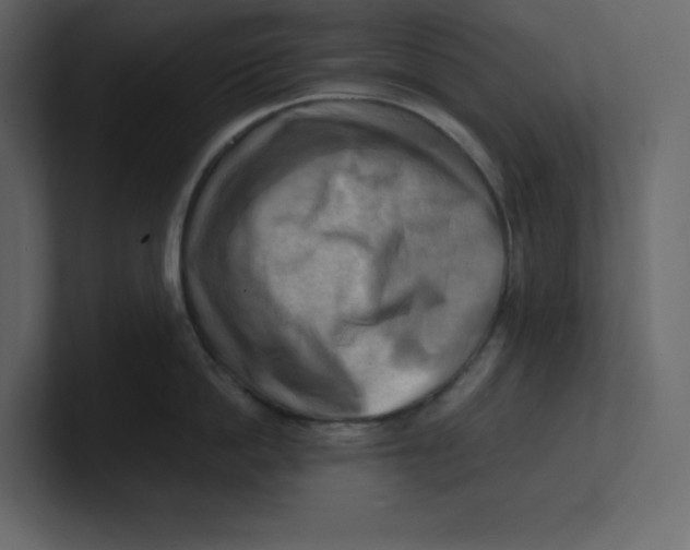 X0000100930862200807151243