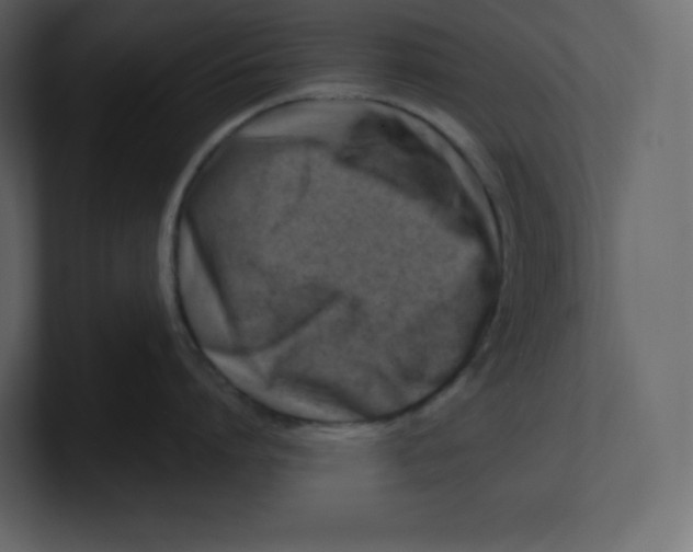 X0000100930864200807151243