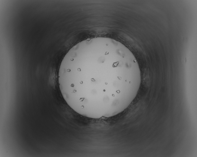 X0000100930866200807151242