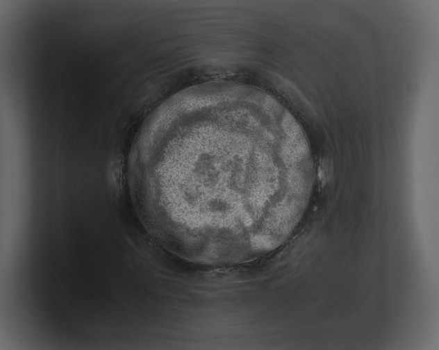 X0000100930867200807151242