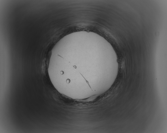 X0000100930868200807151242