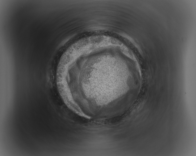 X0000100930871200807151242