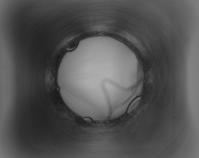 X0000100930872200807151242