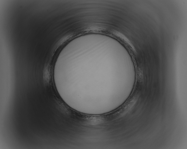 X0000100930874200807151242