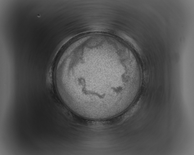 X0000100930875200807151242