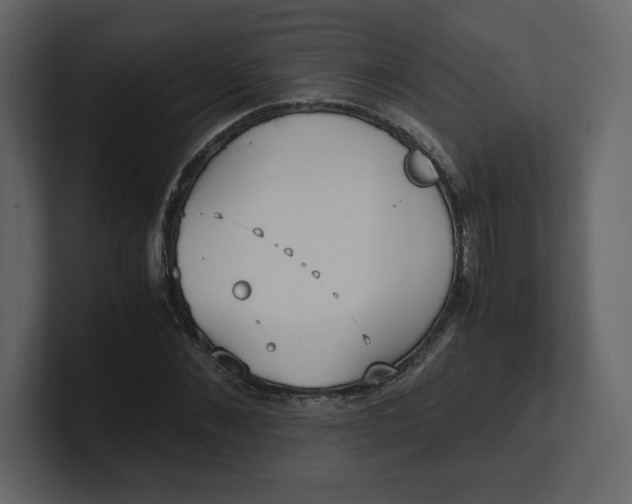 X0000100930876200807151242