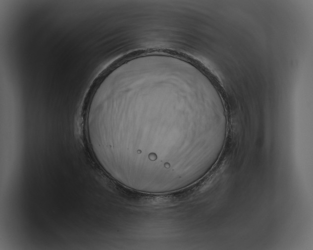 X0000100930879200807151242