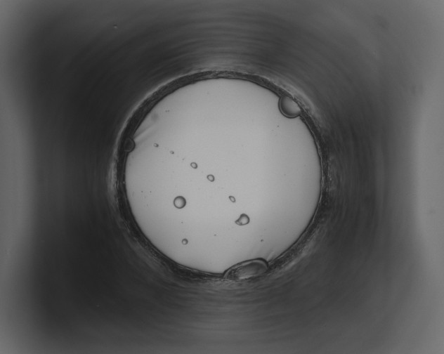 X0000100930880200807151242