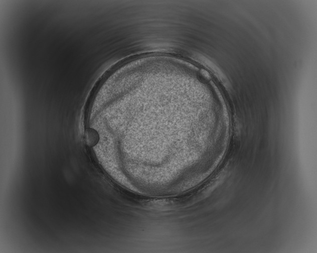 X0000100930883200807151242