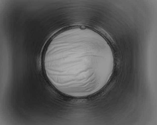 X0000100930884200807151242