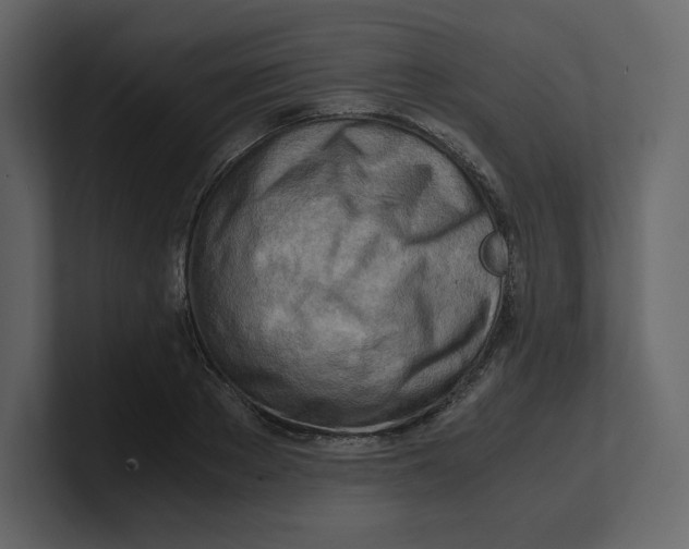 X0000100930889200807151242