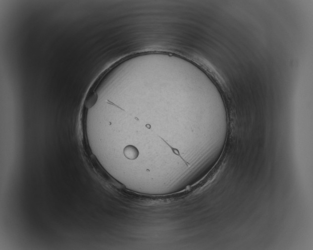 X0000100930892200807151241