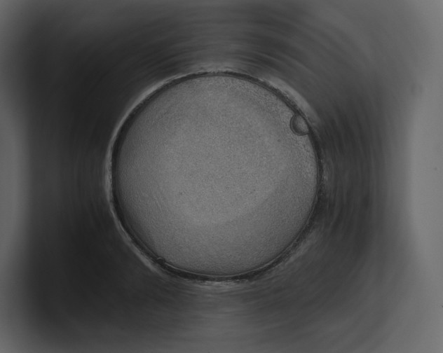 X0000100930894200807151241