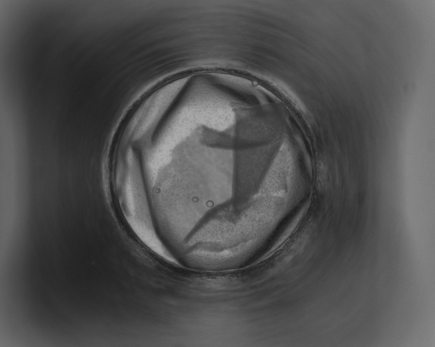 X0000100930895200807151241