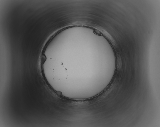 X0000100930896200807151241