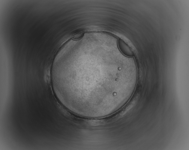 X0000100930897200807151241