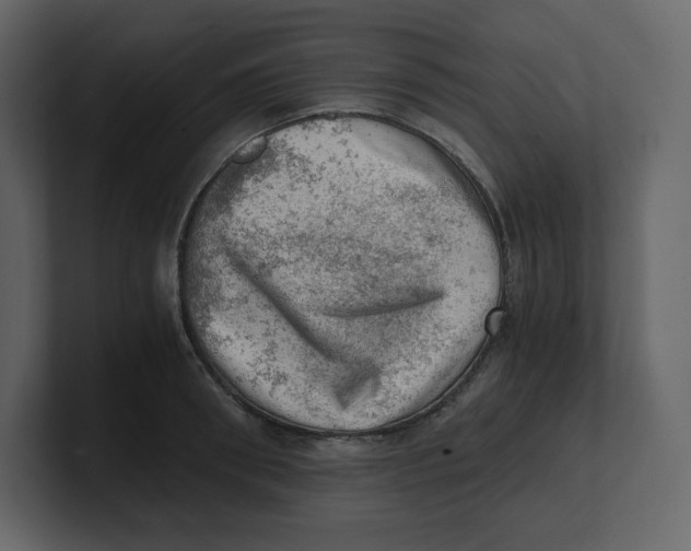 X0000100930898200807151241