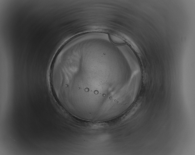 X0000100930899200807151241