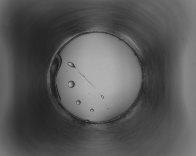 X0000100930900200807151241