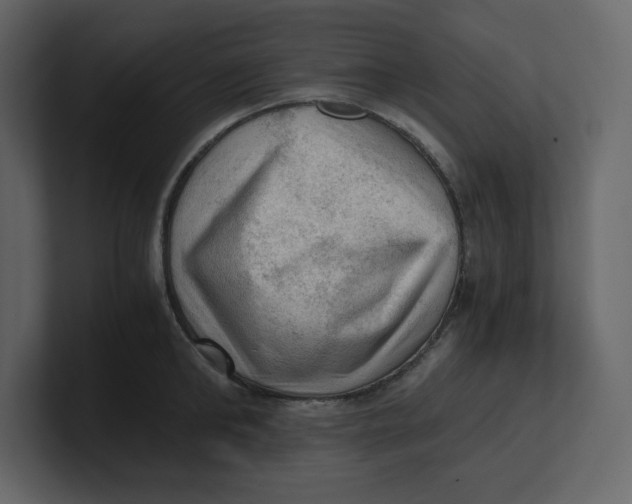 X0000100930902200807151241