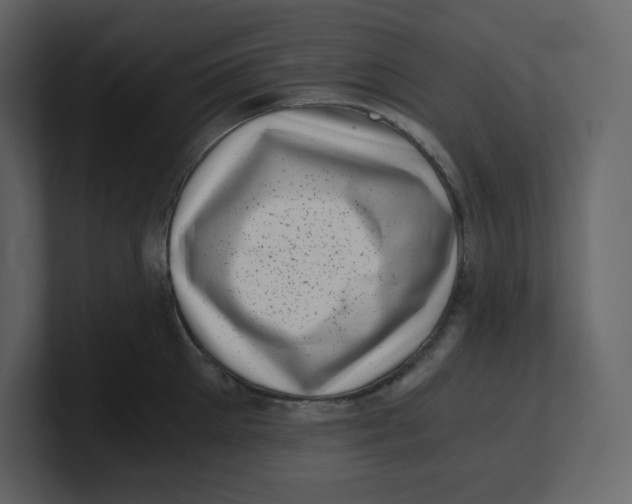 X0000100930905200807151241