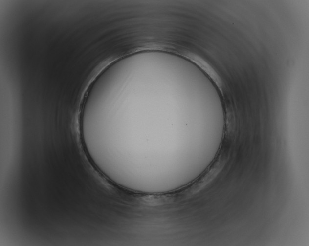 X0000100930906200807151241