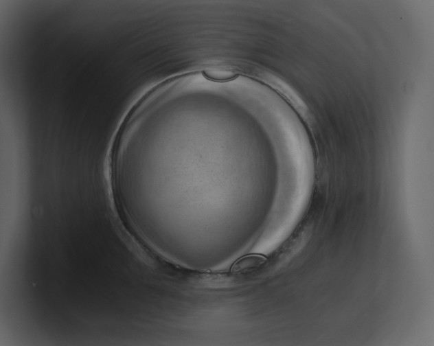 X0000100930907200807151241