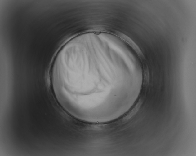 X0000100930908200807151241