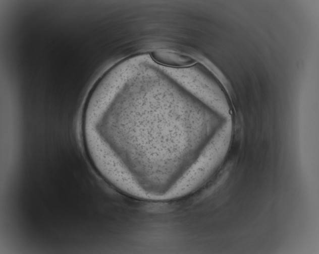 X0000100930909200807151241