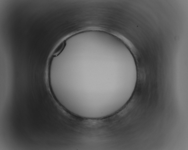 X0000100930910200807151241