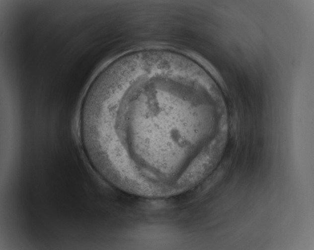 X0000100930911200807151241