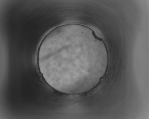 X0000100930912200807151241