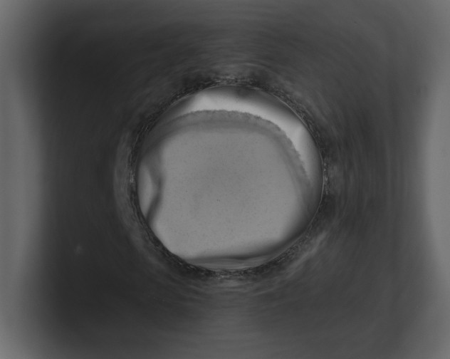 X0000100930913200807151240