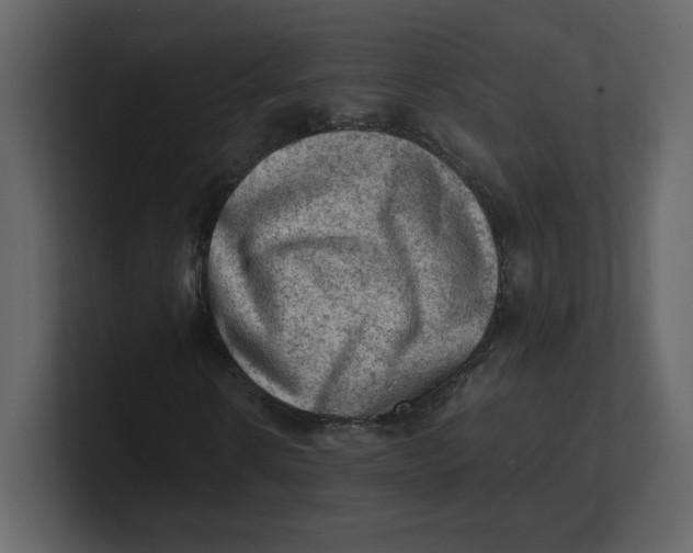 X0000100930914200807151241