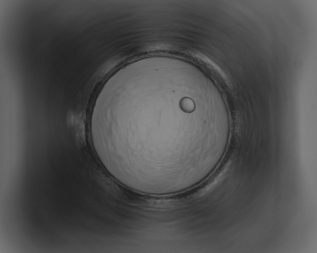 X0000100930921200807151241