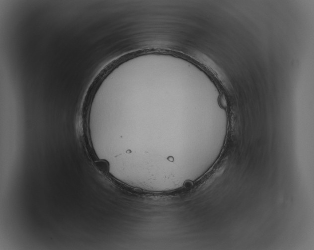 X0000100930924200807151241