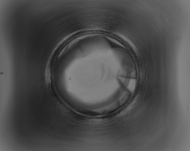 X0000100930925200807151241