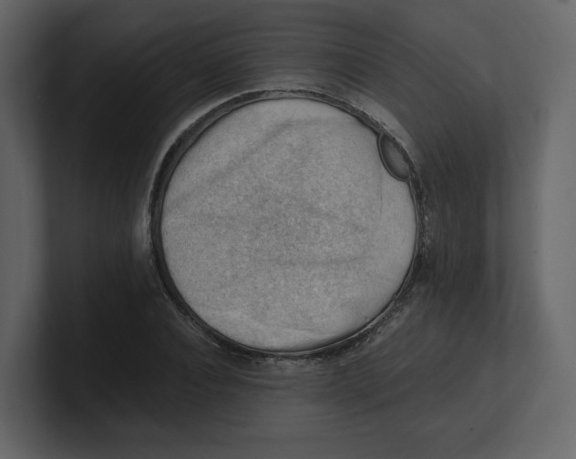 X0000100930928200807151241