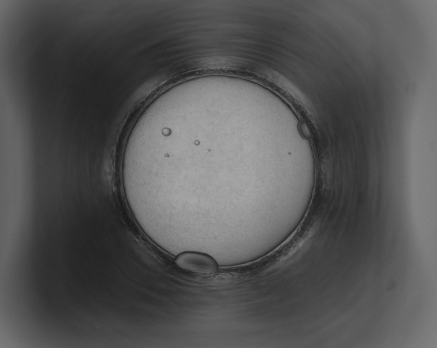 X0000100930930200807151241