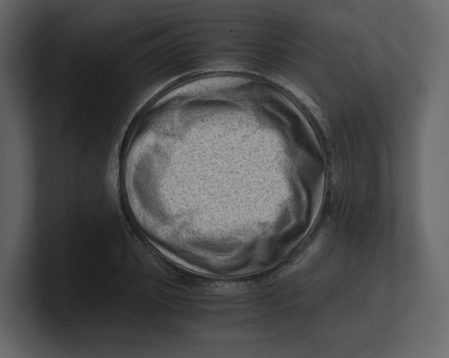 X0000100930933200807151241